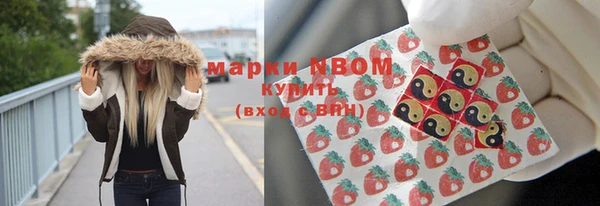 стаф Кодинск