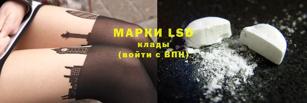 стаф Кодинск