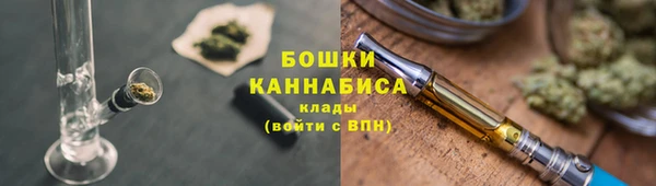 стаф Кодинск