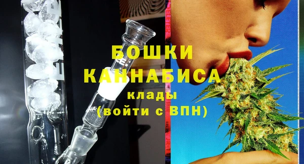 стаф Кодинск