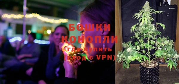 стаф Кодинск