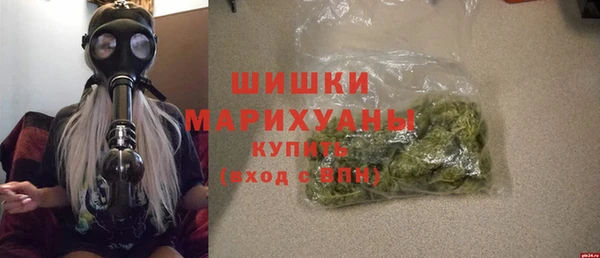 стаф Кодинск