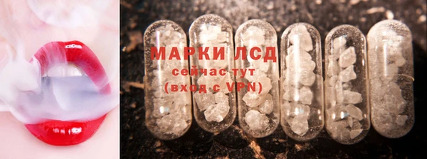 стаф Кодинск