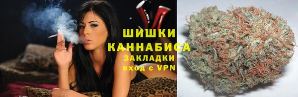 эйфоретик Щигры
