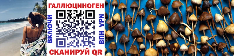 купить   МЕГА зеркало  Галлюциногенные грибы Magic Shrooms  это наркотические препараты  Чистополь 