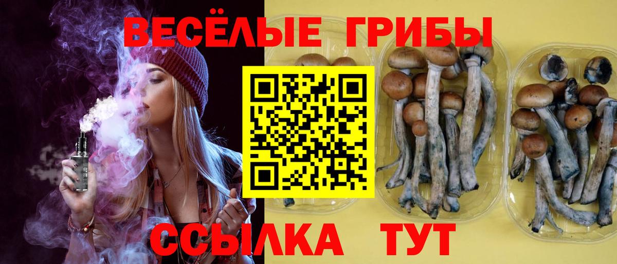 Чистополь  Галлюциногенные грибы Magic Shrooms  Вход с VPN 