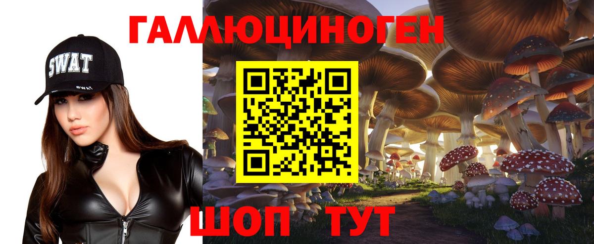 Псилоцибиновые грибы ЛСД Чистополь
